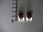 Earrings - segment, clips