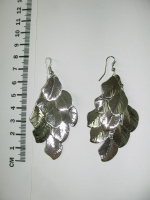 Earings