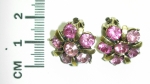 Earrings clip