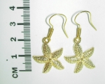 Earrings Sea stars