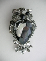 Ring Owl