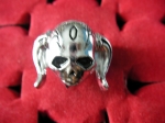 Ring skull