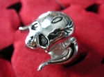 Ring skull