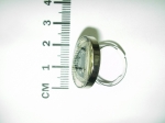 Ring shield