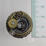 Ring Steampunk