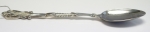 Sivler spoon