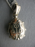 Silver ladybug