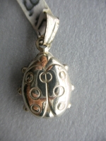 Silver ladybug