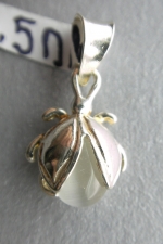 Silver beetle