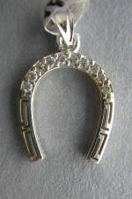 Silver horseshoe
