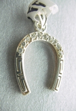 Silver horseshoe