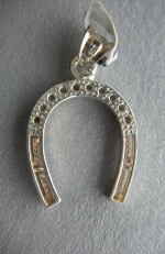Silver horseshoe