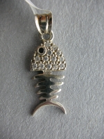 Silver fish