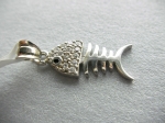 Silver fish