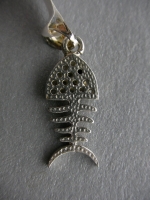 Silver fish