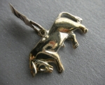 Silver taurus