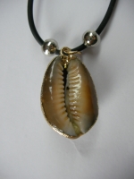 Pendant shell